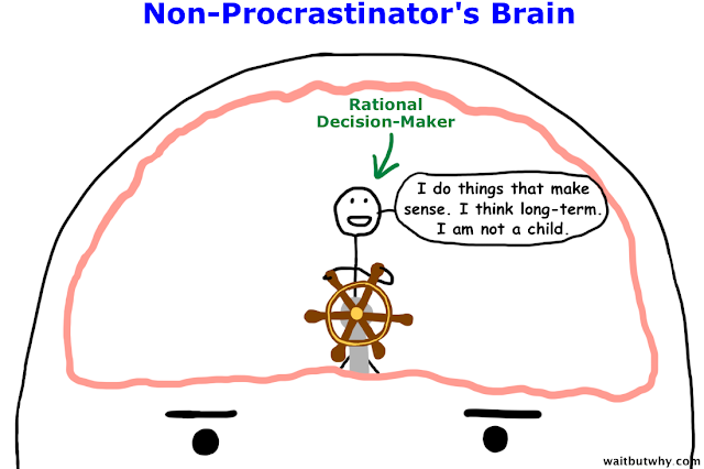 NP brain.png